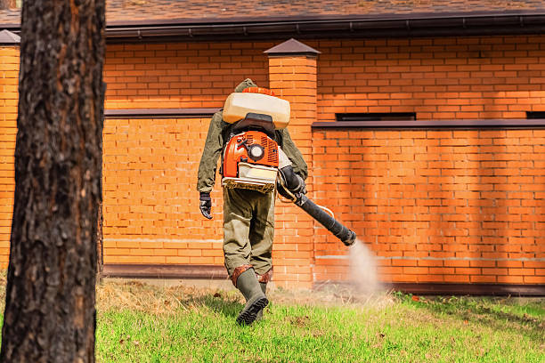 Trusted Cockroach Control service in Seven Oaks, SC - Nex Pest Control